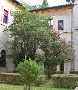 Casale San Pio v - scuole e accademie